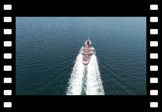 PS Waverley Steaming the Clyde 2024